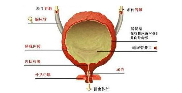 泌尿感染的治疗,重庆康华医院泌尿外科