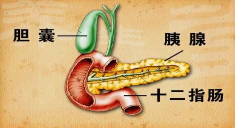 急性胰腺炎的诊断与治疗,重庆康华医院消化内科